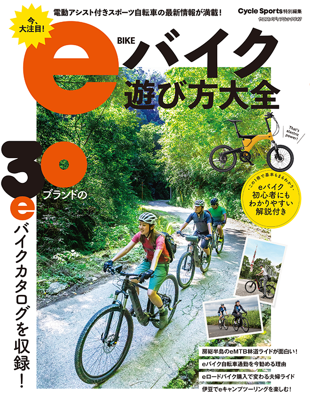 e-bike-how-to-play-